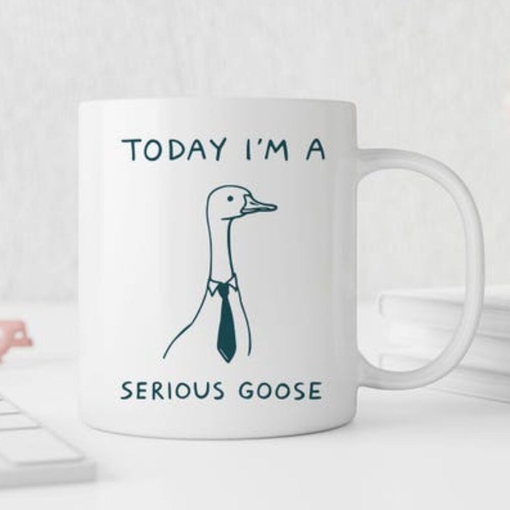 Today I’m a Serious Goose Mug Funny Gift for Coworker Office Tea Cup Sarcastic91